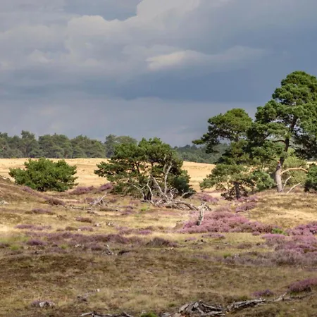 Prázdninový dům Luxe 4- Persoons Veluwelodge Met Hottub In Ermelo! *