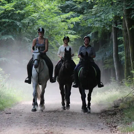 Hébergement de vacances Luxe 4- Persoons Veluwelodge Met Hottub In Ermelo!