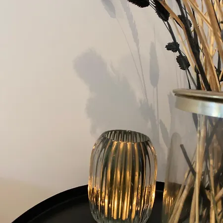 Luxe 4- Persoons Veluwelodge Met Hottub In Ermelo! Hébergement de vacances *