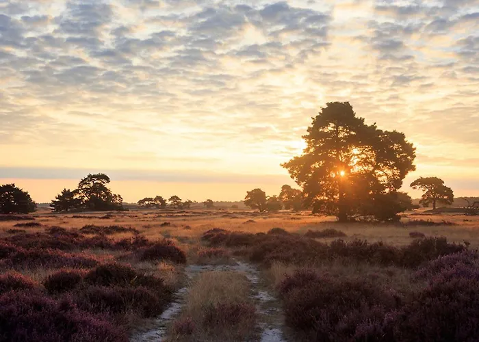 Luxe 4- Persoons Veluwelodge Met Hottub In Ermelo! * إرميلو