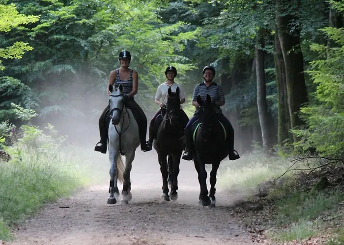 بيت للعطل Luxe 4- Persoons Veluwelodge Met Hottub In Ermelo!