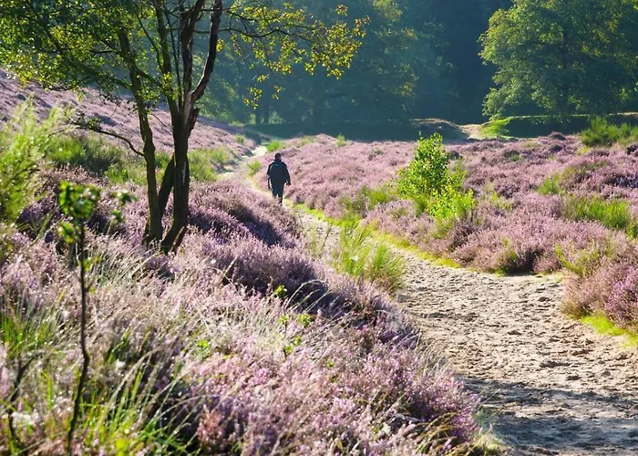 בית נופש Luxe 4- Persoons Veluwelodge Met Hottub In Ermelo! ארמלו