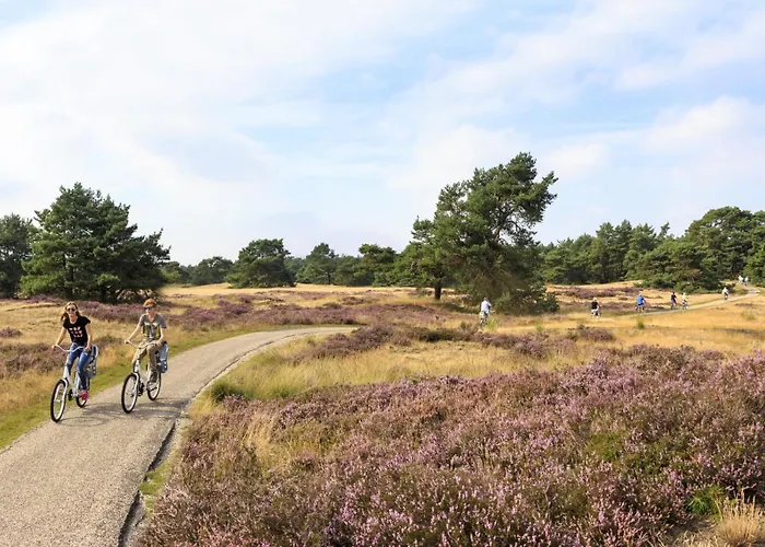 Luxe 4- Persoons Veluwelodge Met Hottub In Ermelo! ארמלו